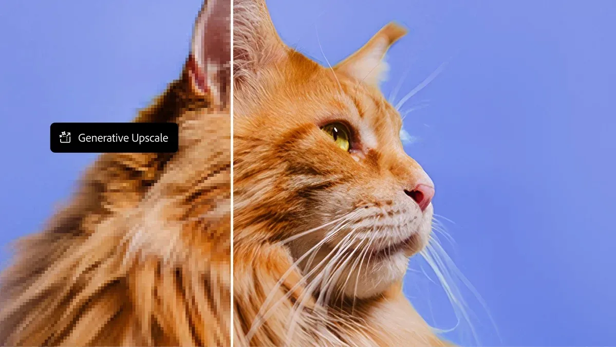 最高のAI画像アップスケーラーのような生成ツールを使用した、ピクセル化した猫の毛とシャープな猫の毛の比較。webp