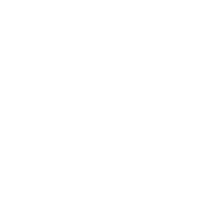 TikTok Ads