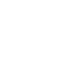 YouTube Ads
